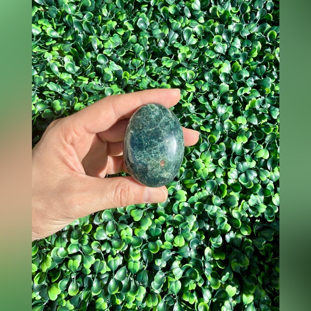 Ocean Jasper Palmstone